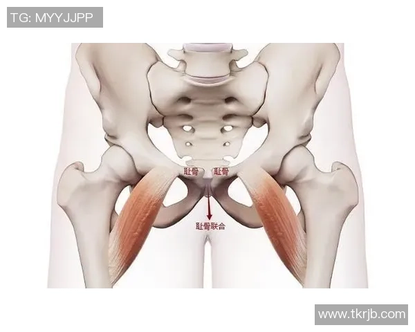 尼科谈耻骨炎:我正饱尝摧残,你永久不知道自己醒来时会怎样